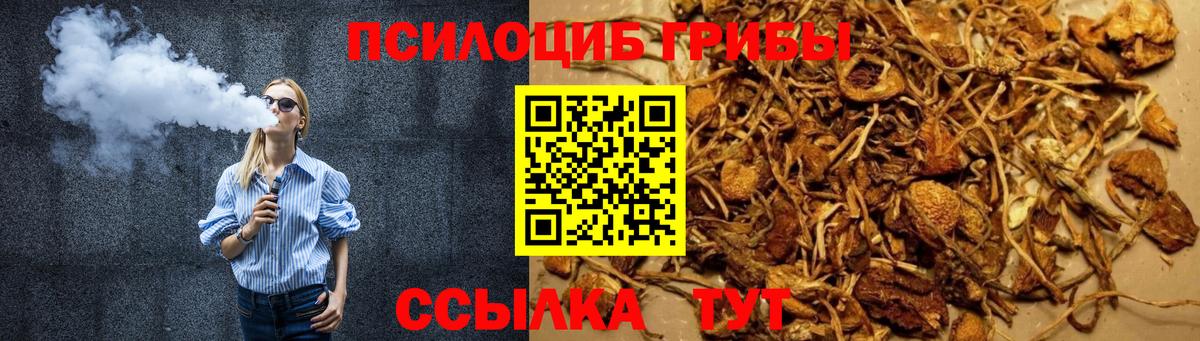 Галлюциногенные грибы Psilocybine cubensis Хасавюрт